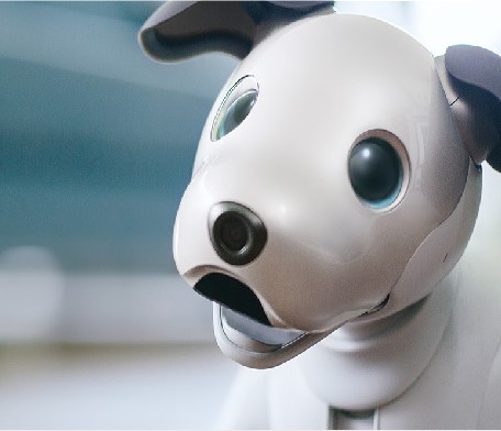 あのロボット犬が復活！ソニー“aibo（アイボ）”ESR-1000